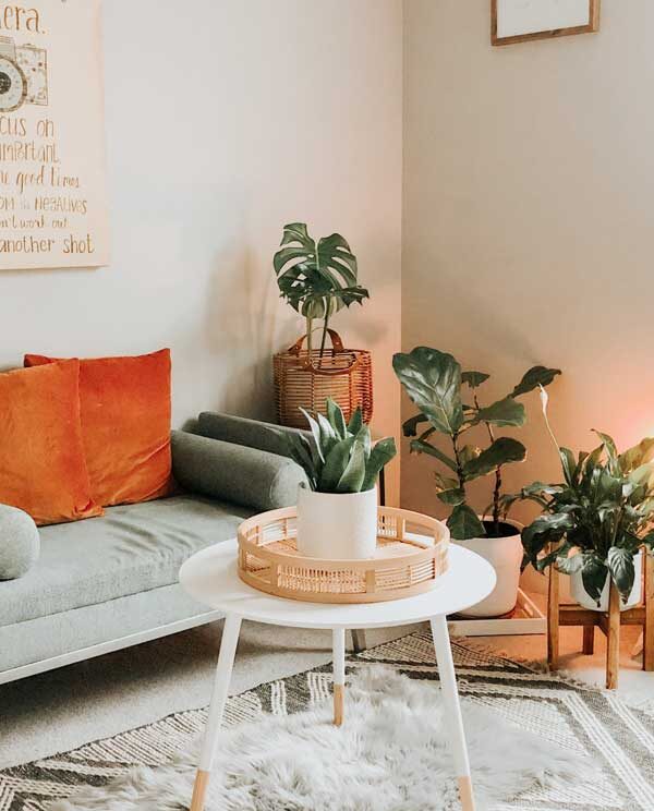 Decoración